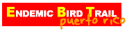 ENDEMIC BIRD TRAIL OF PUERTO RICO